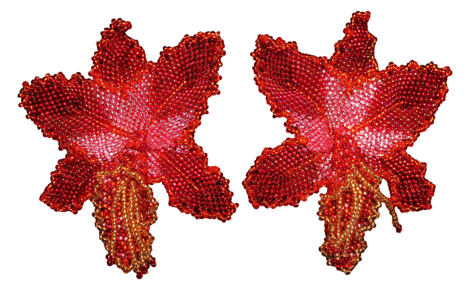 Orquídea M