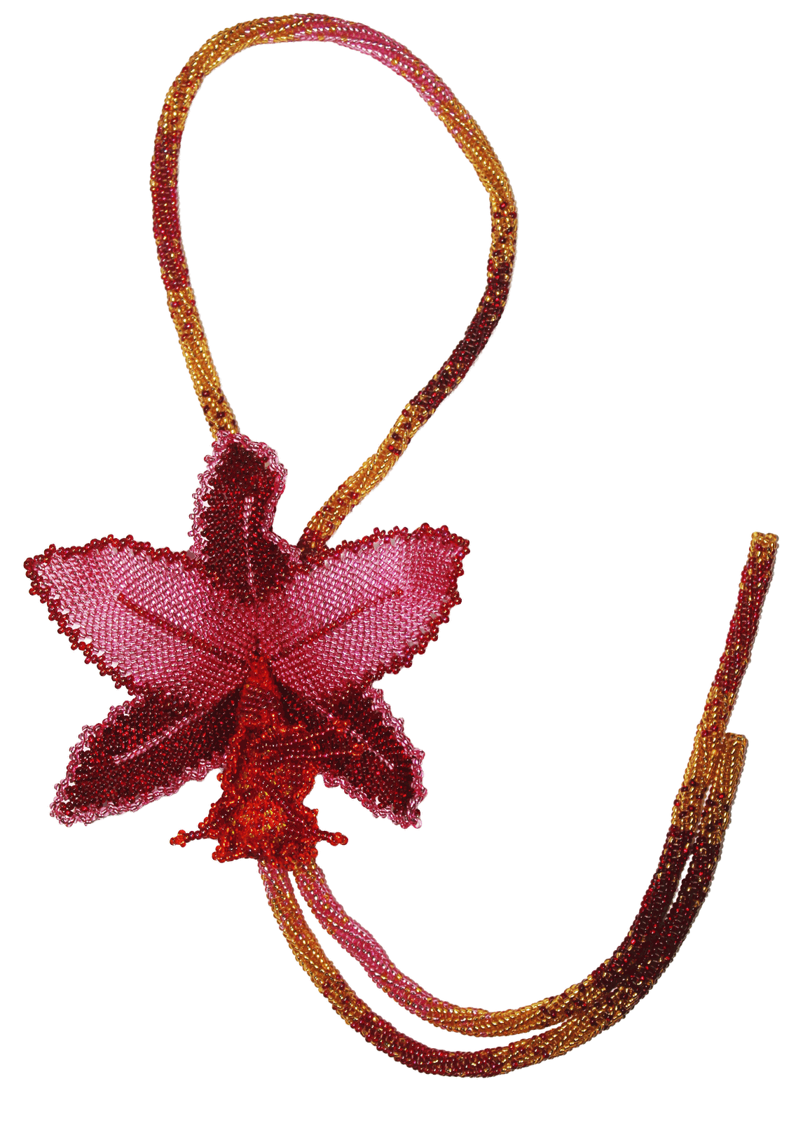 La Orquídea
